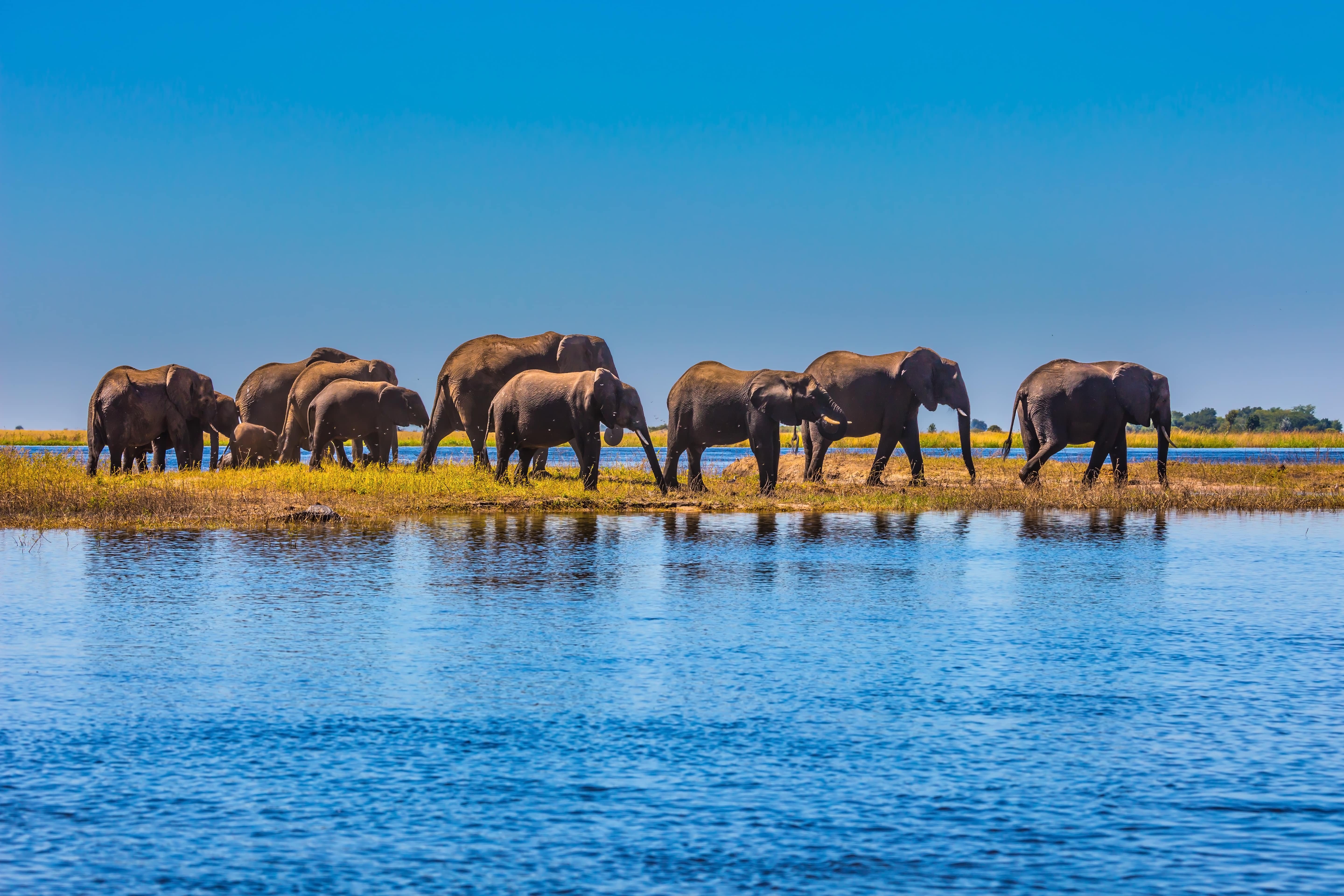 Classic Kenya & Southern Africa