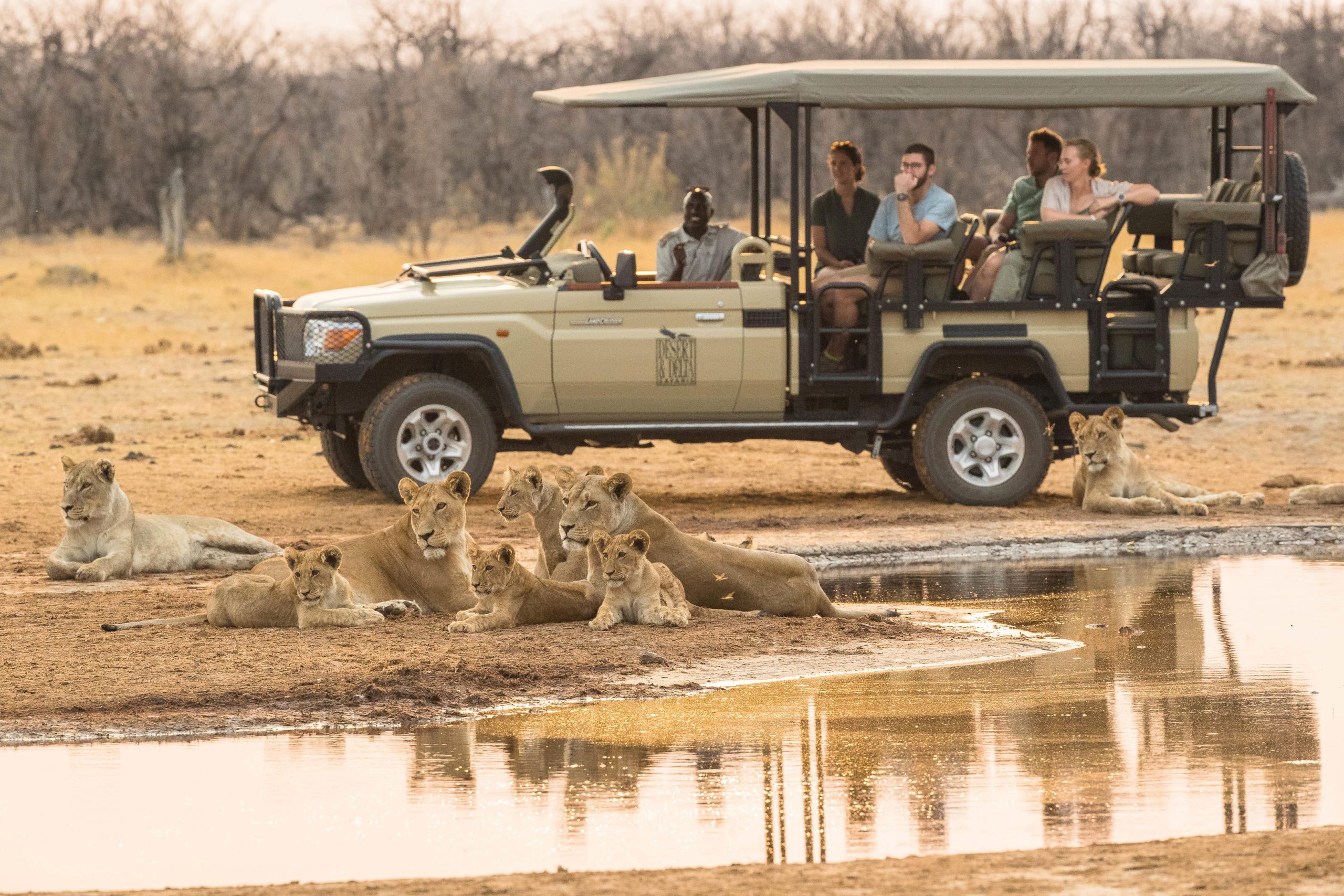 Golden Trails of Africa