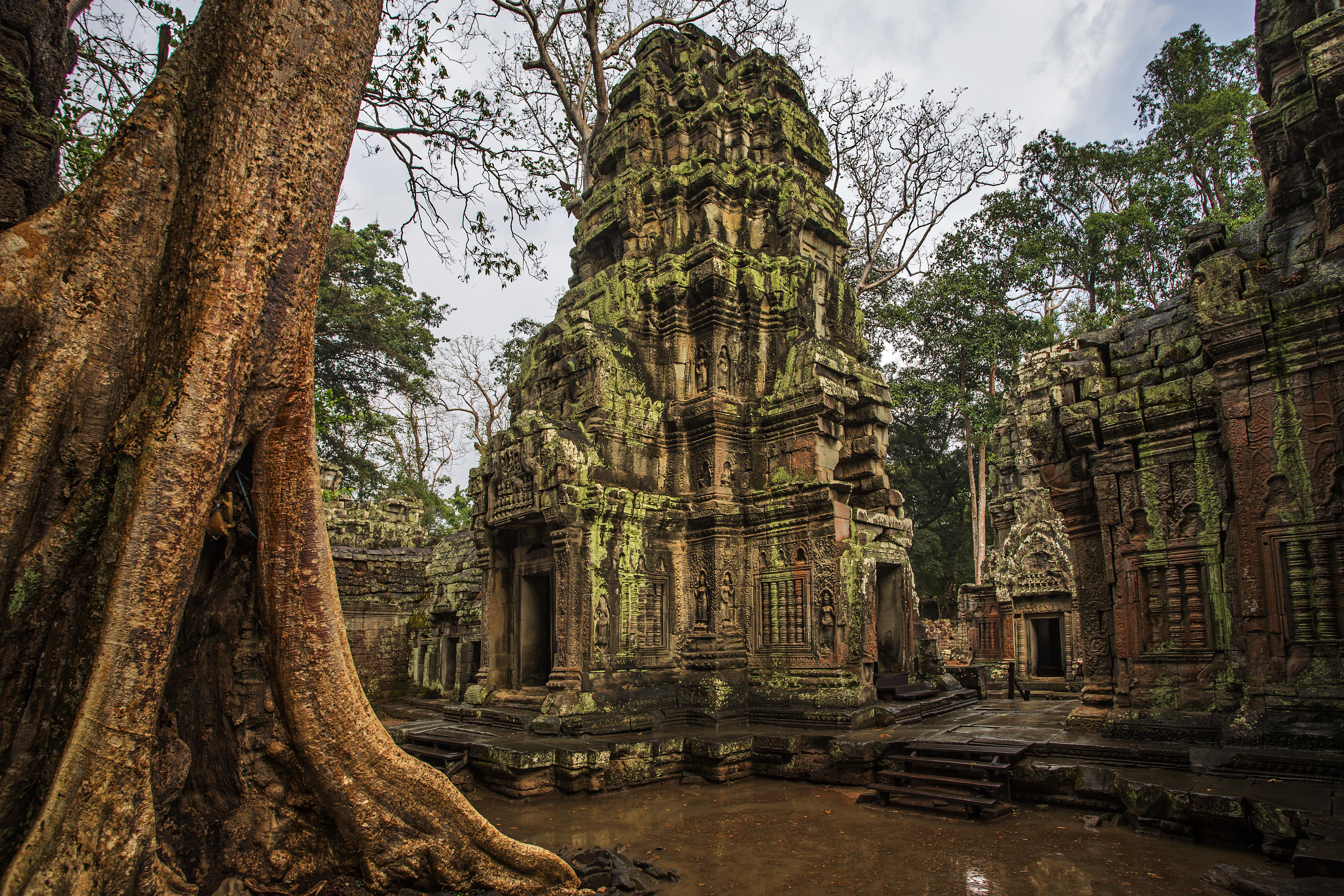 Ta Prohm