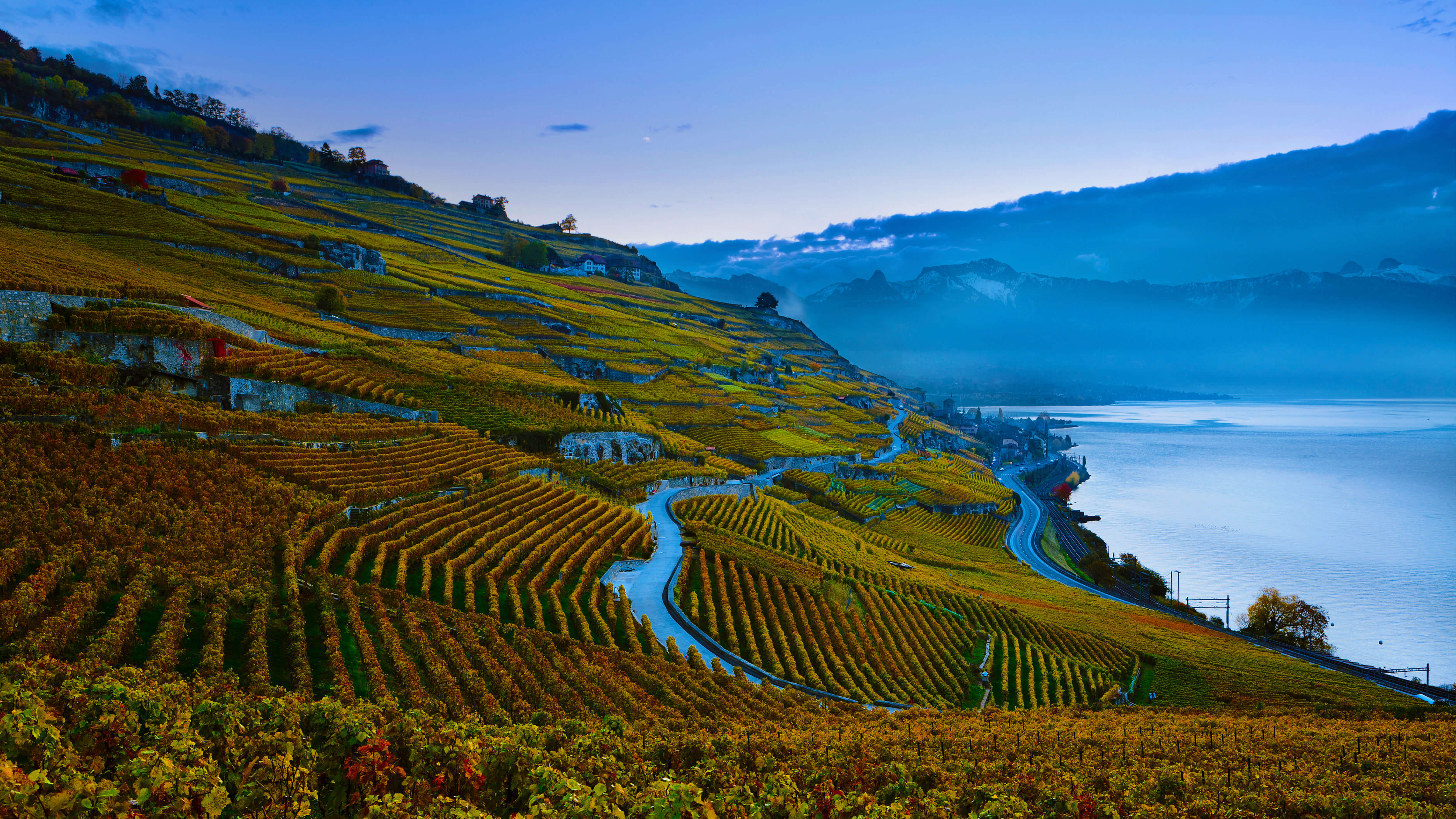 Lavaux Vineyards