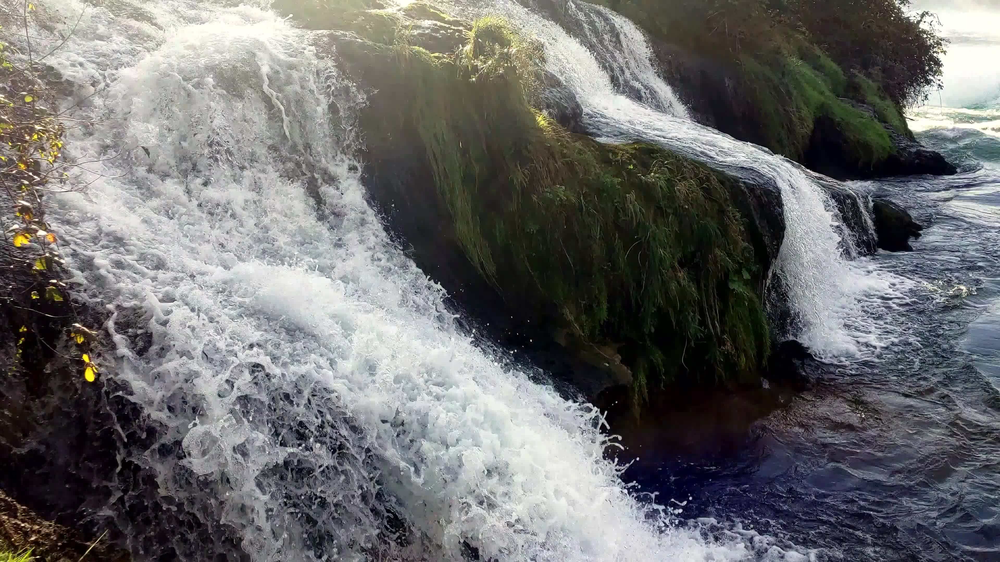Rhine Falls