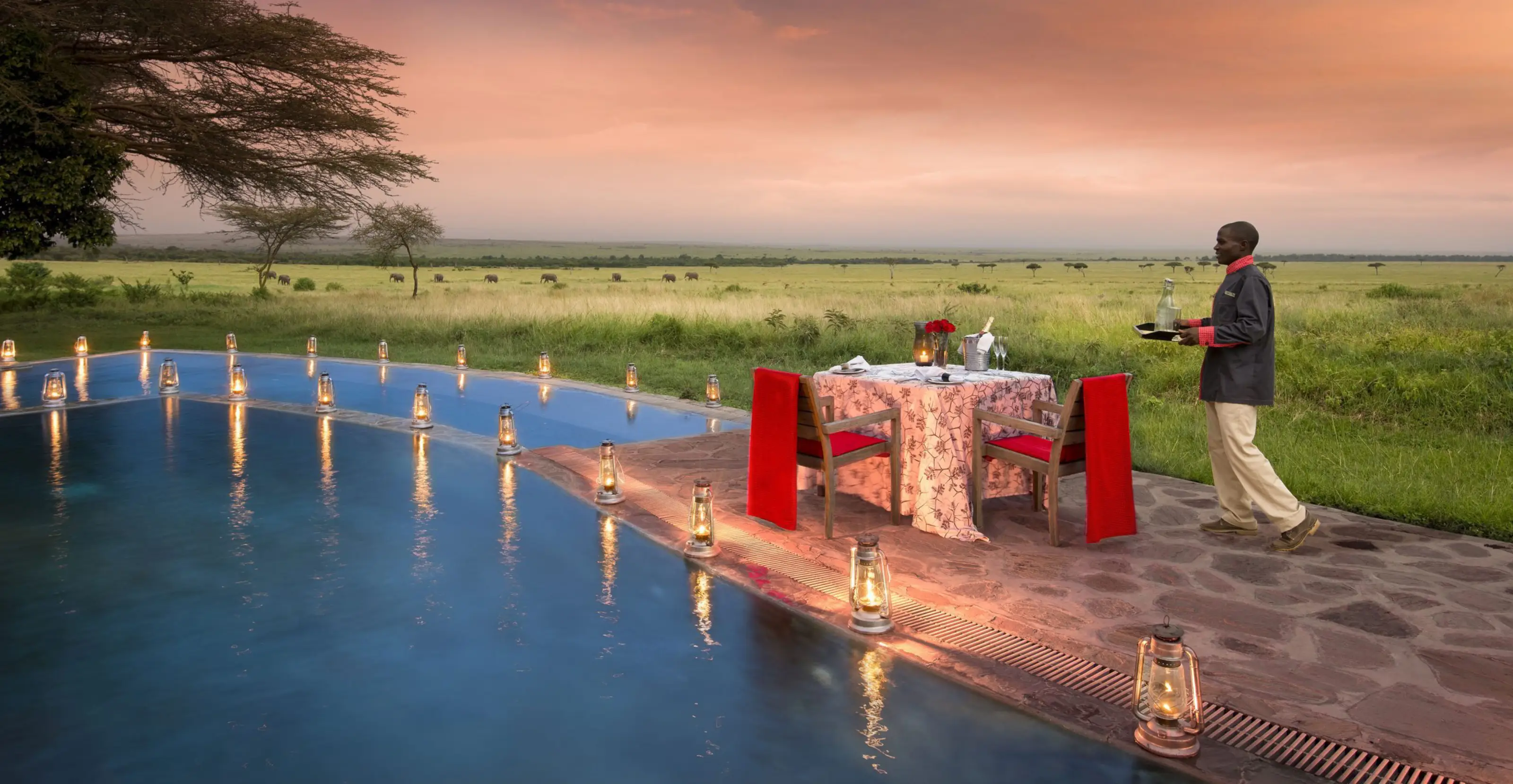 Honeymoon safari