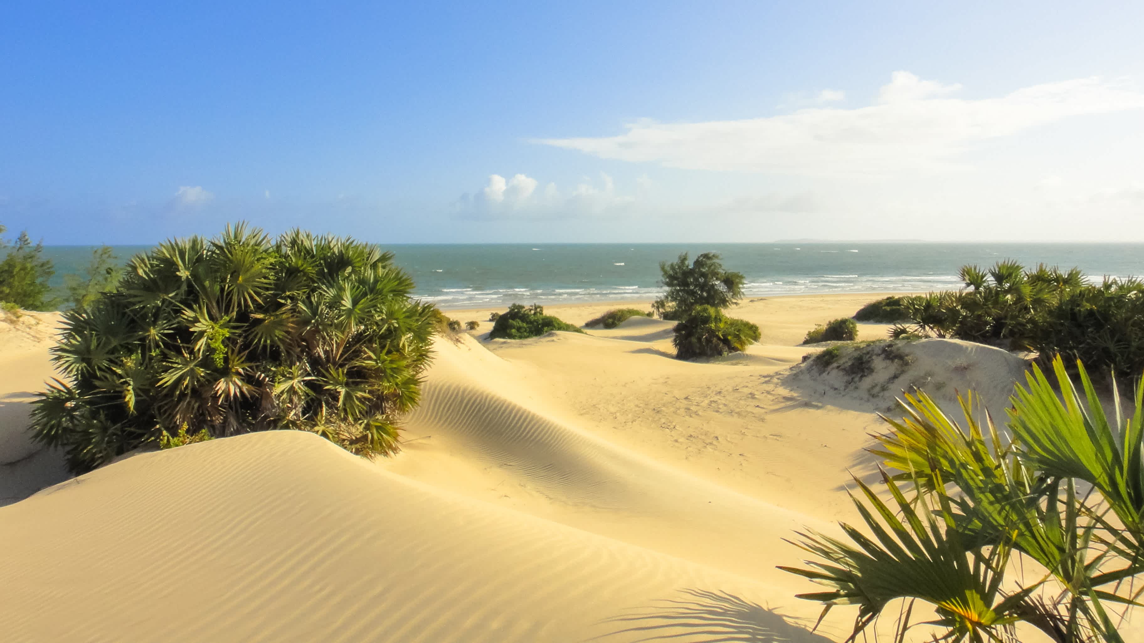 Lamu Kenya